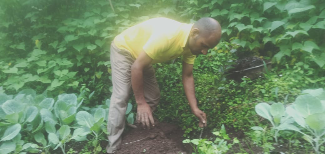 Tree Plantation During Uttarakhandi Lok Parv - Harela - 2021